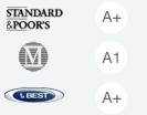 MSI Standard & Poor's Financial Strength Rating